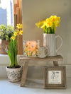 Daffodil Mini Jug